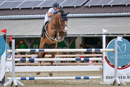 Pferd springt Oxer 