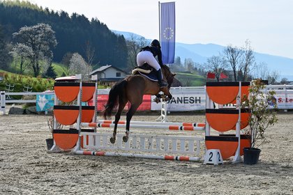 gute Hinterhand